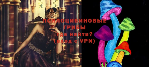 прущие грибы Бородино