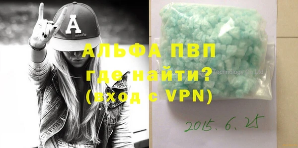 прущие грибы Бородино