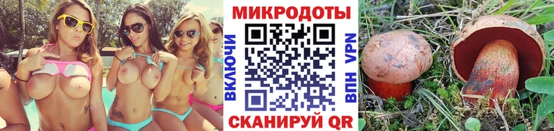 Галлюциногенные грибы Cubensis  Ростов 